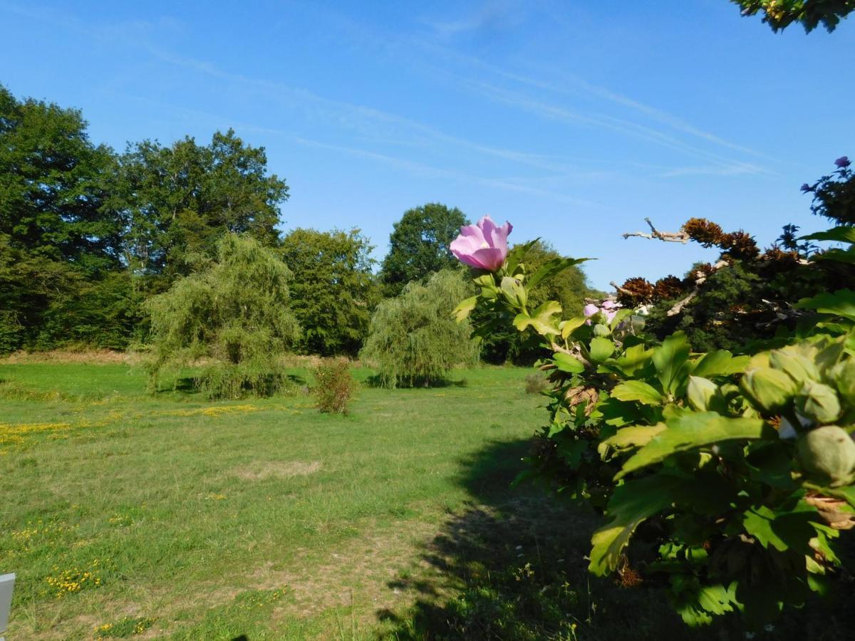 Du Coq A L'ame Bed & Breakfast